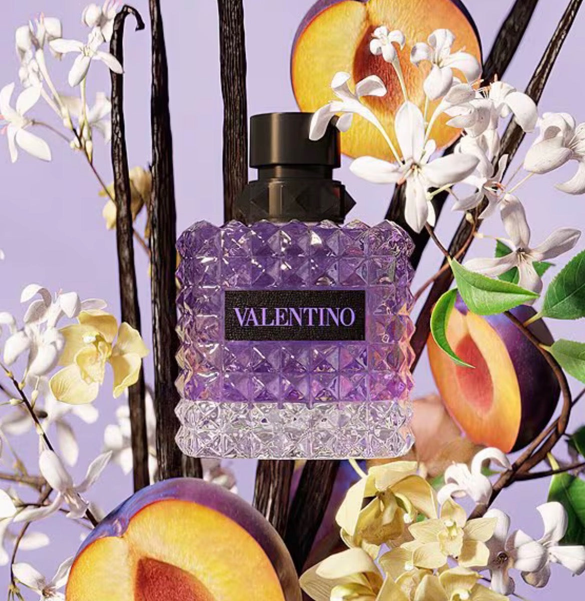 Donna Born in Roma Purple Melancholia  1.7OZ